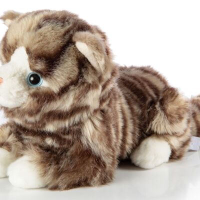 Domestic cat, grey-tabby, lying - 25 cm (length) - Keywords: cat, kitten, pet, plush, plush toy, stuffed toy, cuddly toy
