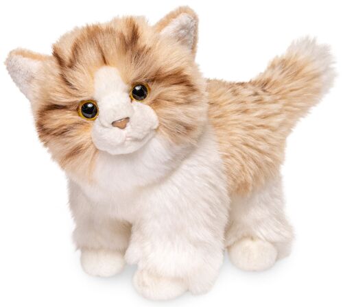 Kätzchen, stehend (beige-weiß) - 18 cm (Länge) - Keywords: Katze, Kätzchen, Haustier, Plüsch, Plüschtier, Stofftier, Kuscheltier