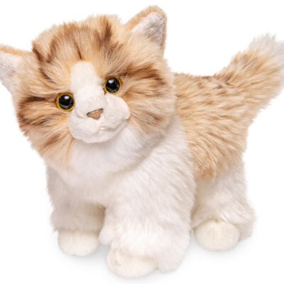 Kätzchen, stehend (beige-weiß) - 18 cm (Länge) - Keywords: Katze, Kätzchen, Haustier, Plüsch, Plüschtier, Stofftier, Kuscheltier