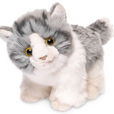 Chaton, debout (gris-blanc) - 18 cm (longueur) - Mots clés : chat, chaton, animal de compagnie, peluche, peluche, peluche, peluche
