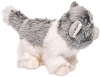 Chaton, debout (gris-blanc) - 18 cm (longueur) - Mots clés : chat, chaton, animal de compagnie, peluche, peluche, peluche, peluche 3