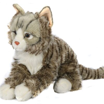 Chat des Forêts Norvégiennes - 46 cm (longueur) - Mots clés : chat, chaton, animal de compagnie, peluche, peluche, peluche, peluche