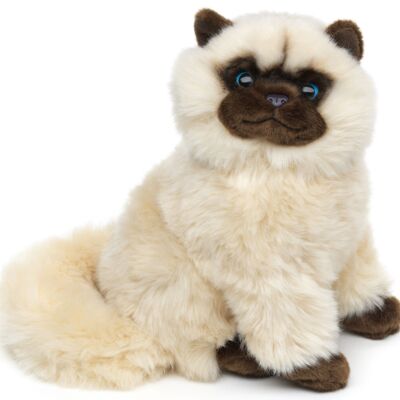Persian cat beige, sitting - 25 cm (height) - Keywords: cat, kitten, pet, plush, plush toy, stuffed toy, cuddly toy