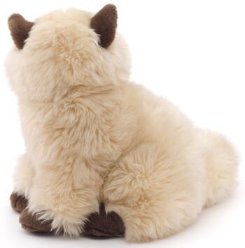 Chat persan beige, assis - 25 cm (hauteur) - Mots clés : chat, chaton, animal de compagnie, peluche, peluche, peluche, peluche 2