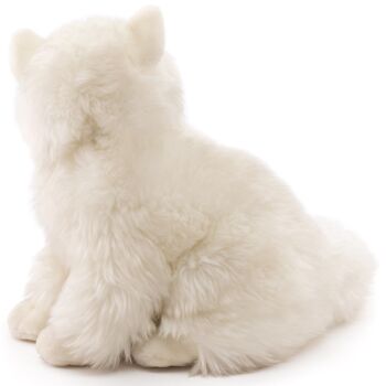 Chat persan blanc, assis - 25 cm (hauteur) - Mots clés : chat, chaton, animal de compagnie, peluche, peluche, peluche, peluche 2