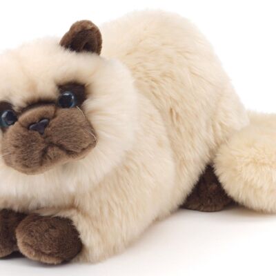 Gato persa beige, tumbado - 31 cm (largo) - Palabras clave: gato, gatito, mascota, peluche, peluche, peluche, peluche