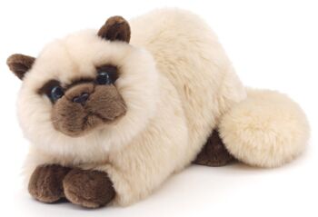 Chat persan beige, couché - 31 cm (longueur) - Mots clés : chat, chaton, animal de compagnie, peluche, peluche, peluche, peluche 1