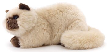Chat persan beige, couché - 31 cm (longueur) - Mots clés : chat, chaton, animal de compagnie, peluche, peluche, peluche, peluche 2