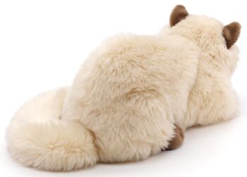 Chat persan beige, couché - 31 cm (longueur) - Mots clés : chat, chaton, animal de compagnie, peluche, peluche, peluche, peluche 3