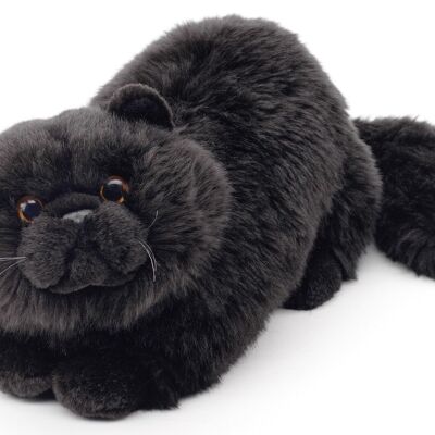 Chat persan noir, couché - 31 cm (longueur) - Mots clés : chat, chaton, animal de compagnie, peluche, peluche, peluche, peluche
