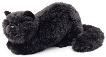 Chat persan noir, couché - 31 cm (longueur) - Mots clés : chat, chaton, animal de compagnie, peluche, peluche, peluche, peluche 2
