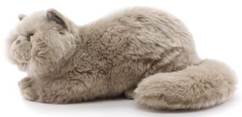 Chat persan gris, couché - 31 cm (longueur) - Mots clés : chat, chaton, animal de compagnie, peluche, peluche, peluche, peluche 2