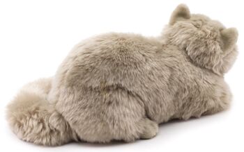 Chat persan gris, couché - 31 cm (longueur) - Mots clés : chat, chaton, animal de compagnie, peluche, peluche, peluche, peluche 3
