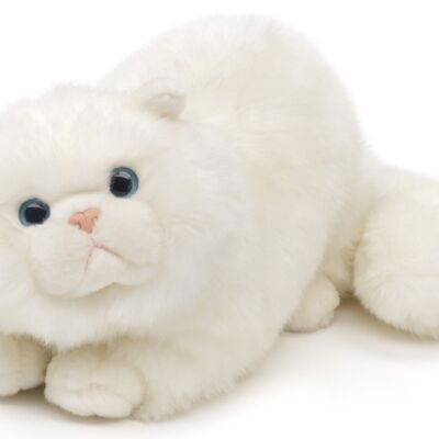 Chat persan blanc, couché - 31 cm (longueur) - Mots clés : chat, chaton, animal de compagnie, peluche, peluche, peluche, peluche