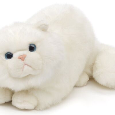 Perserkatze weiß, liegend - 31 cm (Länge) - Keywords: Katze, Kätzchen, Haustier, Plüsch, Plüschtier, Stofftier, Kuscheltier