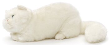 Chat persan blanc, couché - 31 cm (longueur) - Mots clés : chat, chaton, animal de compagnie, peluche, peluche, peluche, peluche 2