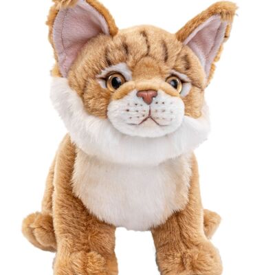 Gato Maine Coon con melena de león acoplable - 20 cm (alto) - Palabras clave: gato, gatito, mascota, peluche, peluche, peluche, peluche