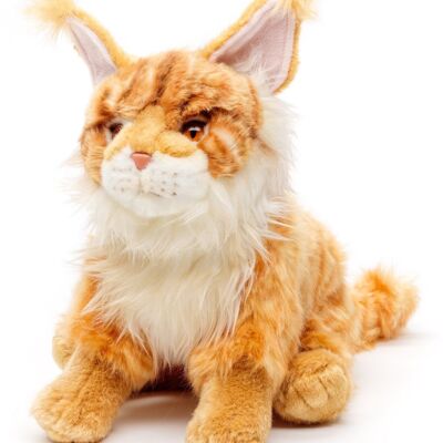Maine Coon cat, sitting (brown) - 27 cm (height) - Keywords: cat, kitten, pet, plush, plush toy, stuffed toy, cuddly toy