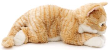Chat à fourrure tigrée, couché (rouge-marron) - 38 cm (longueur) - Mots clés : chat, chaton, animal de compagnie, peluche, peluche, peluche, peluche 3