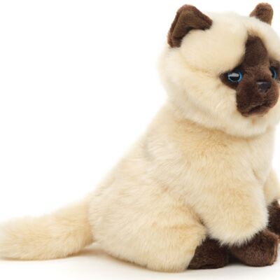 Gato siamés beige-marrón, sentado - 21 cm (altura) - Palabras clave: gato, gatito, mascota, peluche, peluche, peluche, peluche