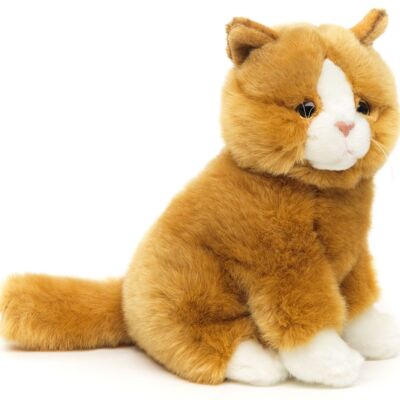 Gatto marrone dorato, seduto - 21 cm (altezza) - Parole chiave: gatto, gattino, animale domestico, peluche, peluche, peluche, peluche