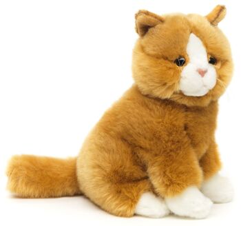 Chat marron doré, assis - 21 cm (hauteur) - Mots clés : chat, chaton, animal de compagnie, peluche, peluche, peluche, doudou 1