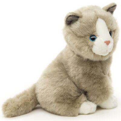 Chat gris, assis - 21 cm (hauteur) - Mots clés : chat, chaton, animal de compagnie, peluche, peluche, peluche, peluche