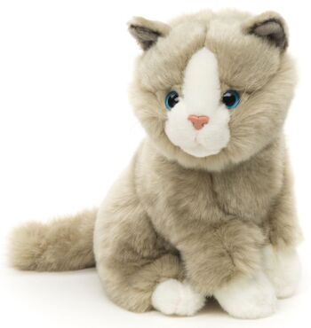 Chat gris, assis - 21 cm (hauteur) - Mots clés : chat, chaton, animal de compagnie, peluche, peluche, peluche, peluche 2