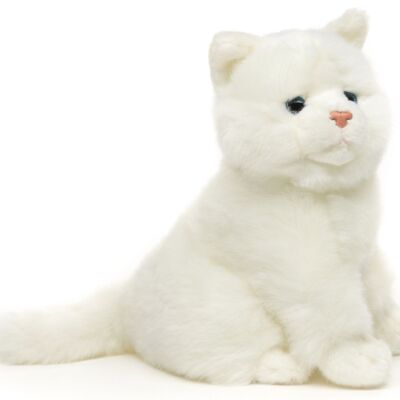 Katze weiß, sitzend - 21 cm (Höhe) - Keywords: Katze, Kätzchen, Haustier, Plüsch, Plüschtier, Stofftier, Kuscheltier
