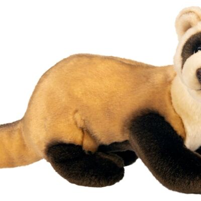 Furet - 40 cm (longueur) - Mots clés : animal de compagnie, peluche, peluche, peluche, peluche