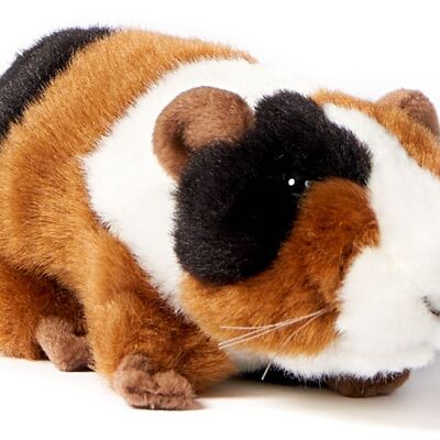 Guinea pig - 18 cm (length) - Keywords: pet, plush, plush toy, stuffed animal, cuddly toy