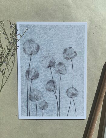 Carte postale de l'herbe de coton 1