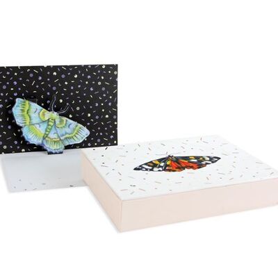 Wings Boxed Notes (9284)