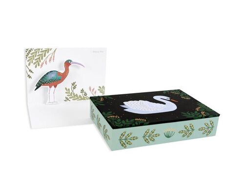 Aquatic Birds Boxed Notes (9296)