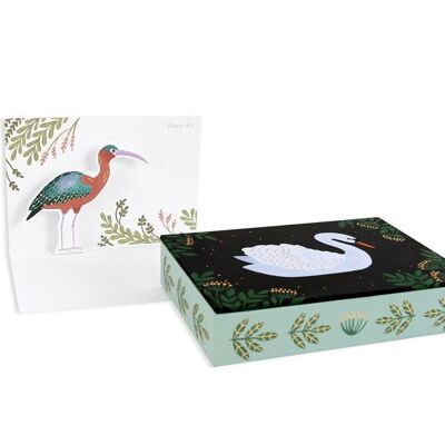 Quaderni con scatola Uccelli acquatici (9296)