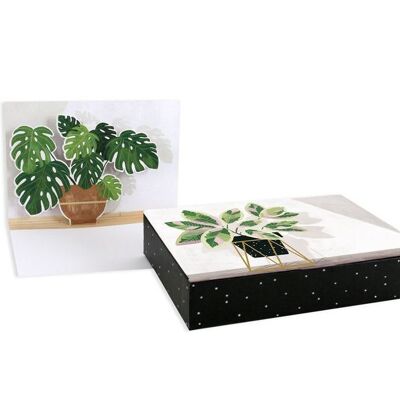 Potted Plants Boxed Notes (9287)