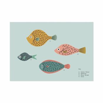 Impression d’art poisson A5 (5090)