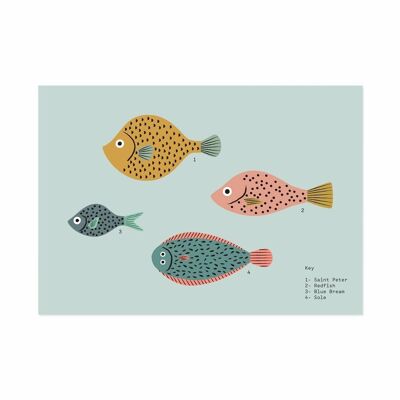 Impresión de arte de pez A5 (5090)