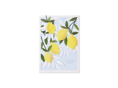 Citrus 3D Layer Greeting Card (9380)