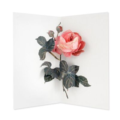 Tarjeta de felicitación con capa 3D de rosa (9297)
