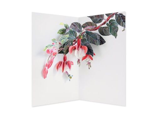 Fuchsia 3D Layer Greeting Card (9302)