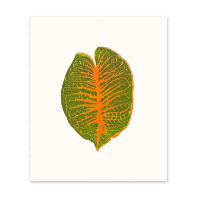 Tropical Leaf 1 Art Print (10966)