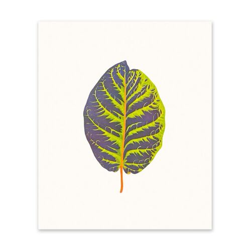 Tropical Leaf 2 Art Print (10967)