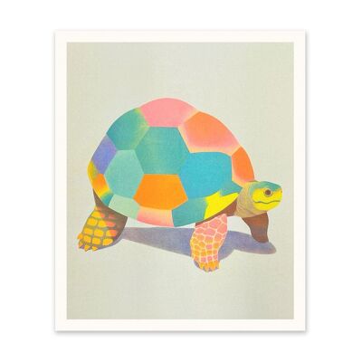 Impression artistique de tortue patchwork (10977)