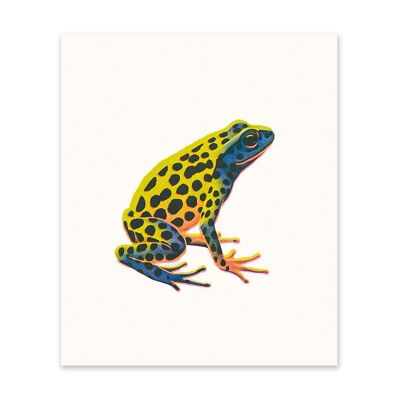 Grenouille flèche empoisonnée 1 Impression artistique (10976)