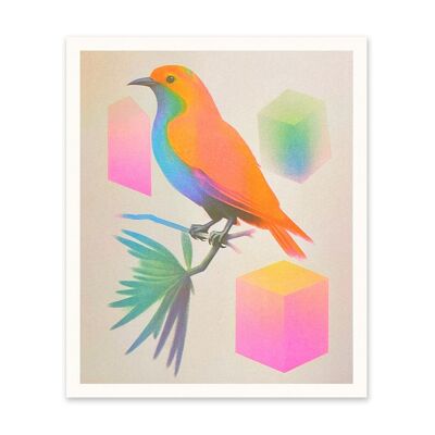 Impresión artística de bloques y pájaros de neón (11024)