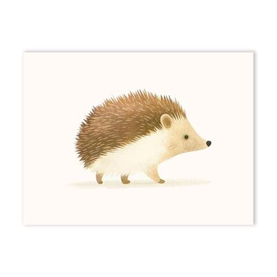 Cute Hedgehog Art Print (10920)