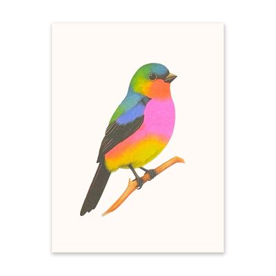Stampa artistica con uccello al neon su ramo (10925)