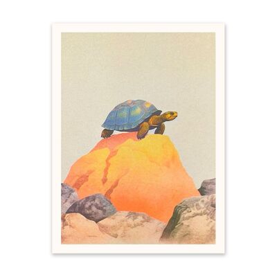 Schildkröte auf einem Felsen Kunstdruck (10929)