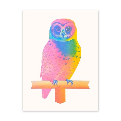 Neon Owl Art Print (10931)